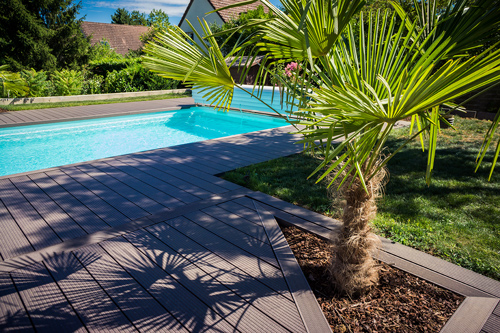 Le palmier, effet garanti pour apporter du sud dans votre jardin.