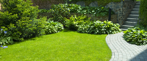 Si vous rêvez d'une belle pelouse pour votre jardin, découvrez les différences entre gazon naturel et gazon synthétique.