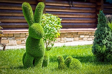 L'art topiaire permet aux paysagistes de réaliser de vraies sculptures végétales.