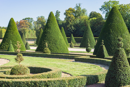 L'art topiaire, emblématique du jardin à la française grâce notamment au magnifique jardin du Château de Versailles.